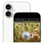 گوشی موبایل اپل مدل iPhone 17 CH دو سیم کارت ظرفیت 256 گیگابایت و رم 8 گیگابایت - نات اکتیو - Image 3